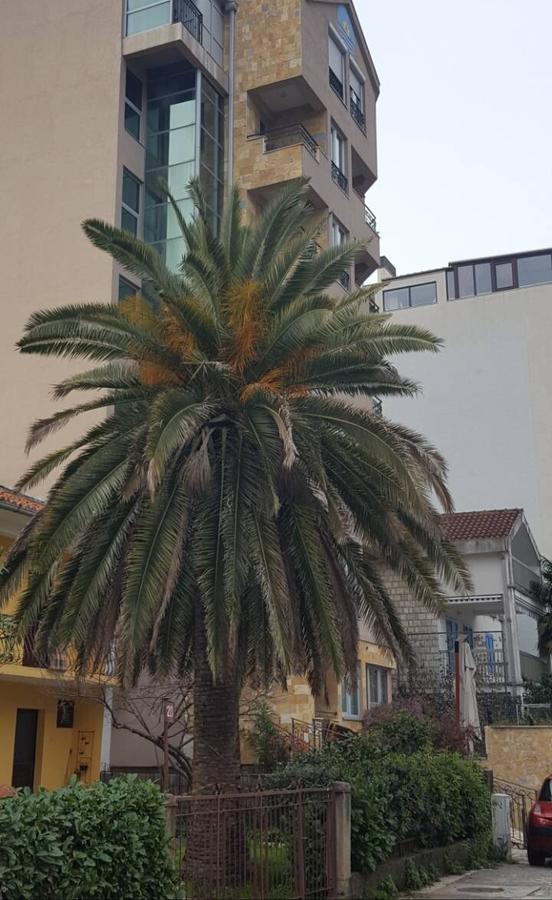 Apartman Centar Lux Budva Ngoại thất bức ảnh